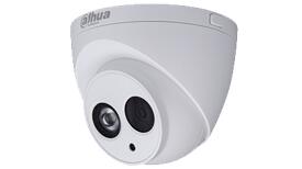 DH-IPC-HDW4233(8)C-A 高清（200萬）星光紅外海螺半球型網(wǎng)絡(luò)攝像機(jī)